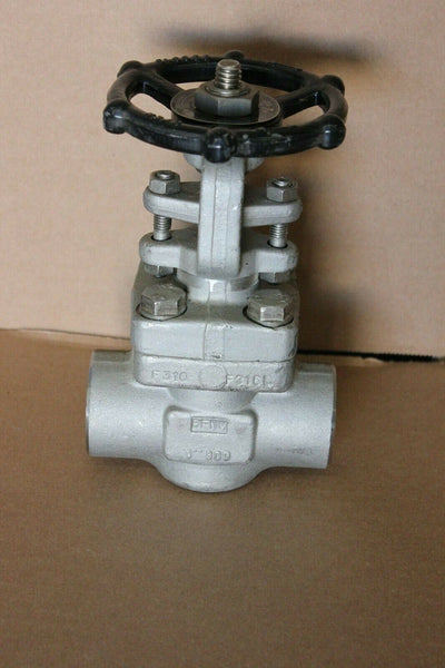 New DSI Stainless Steel 1" Gate Valve 4111 E16-18